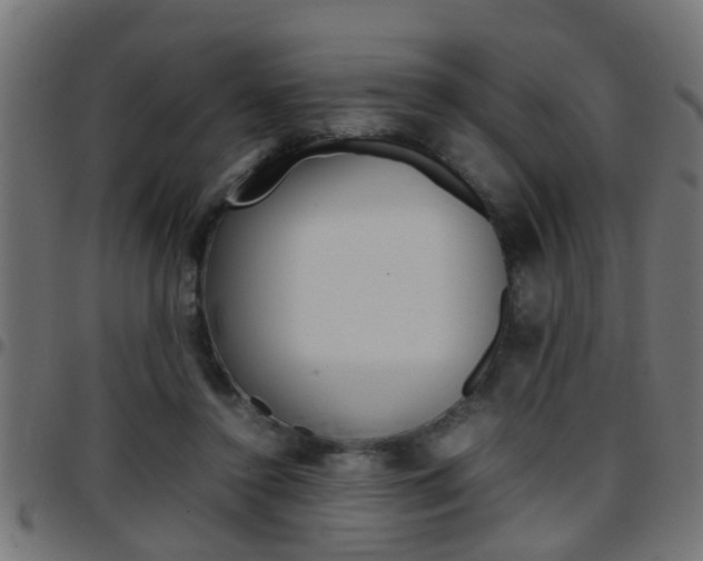 X0000097780356200803070918