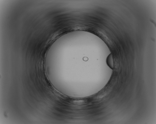 X0000097780357200803070918
