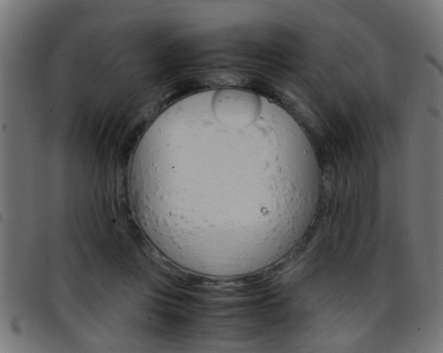 X0000097780359200803070918
