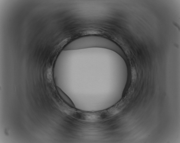 X0000097780360200803070918