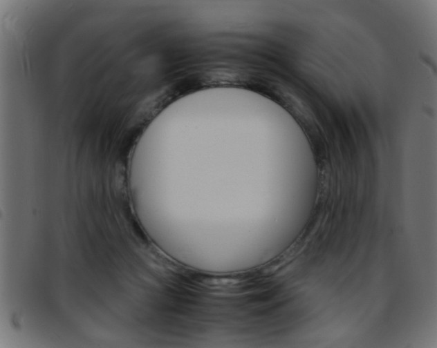 X0000097780361200803070918