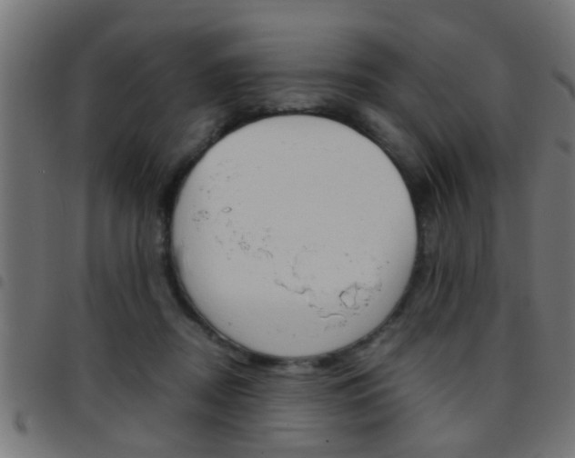 X0000097780362200803070918