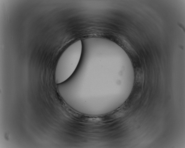 X0000097780363200803070918