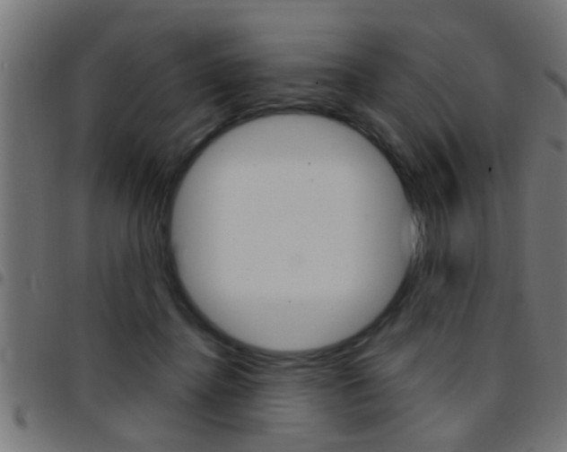X0000097780364200803070918