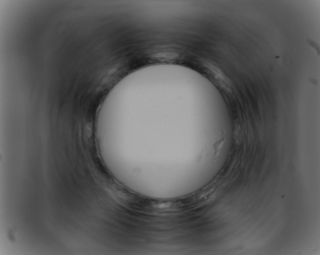 X0000097780365200803070918