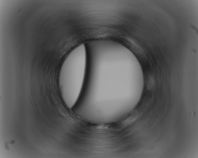 X0000097780366200803070918