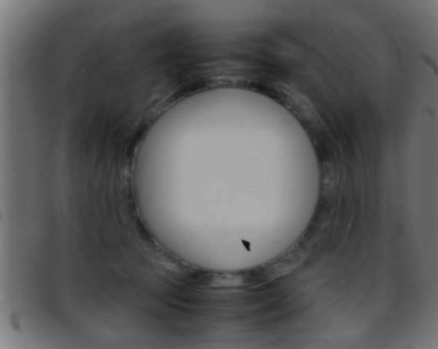 X0000097780369200803070918