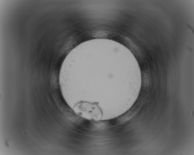 X0000097780370200803070918