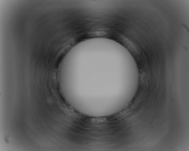 X0000097780373200803070918