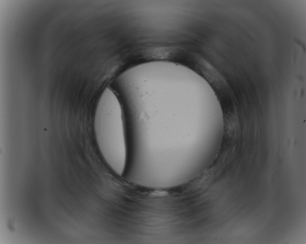 X0000097780374200803070918