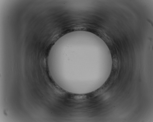 X0000097780375200803070918