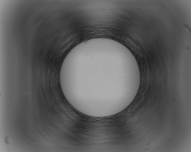 X0000097780376200803070918