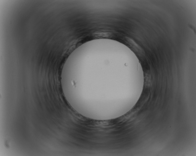 X0000097780377200803070918