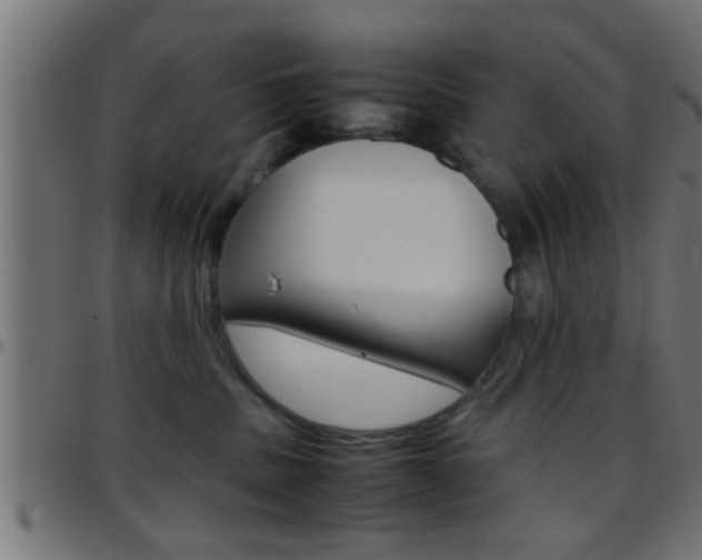 X0000097780379200803070918