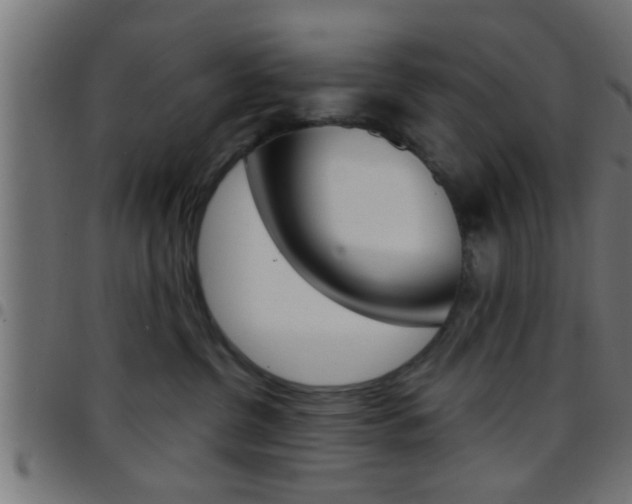 X0000097780380200803070918