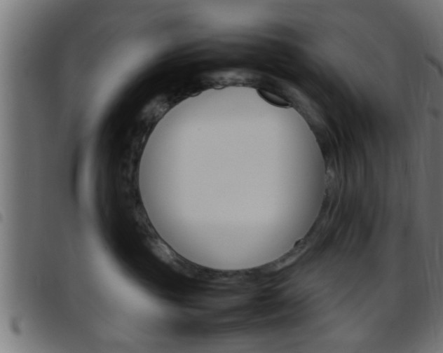 X0000097780381200803070918