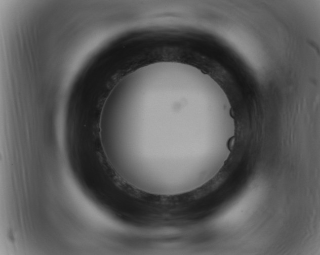 X0000097780383200803070918