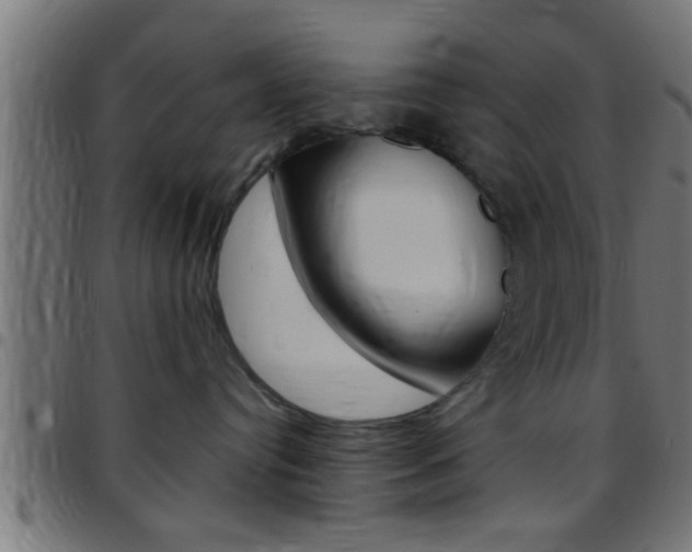 X0000097780384200803070918