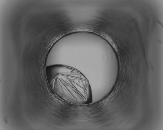 X0000097780385200803070918