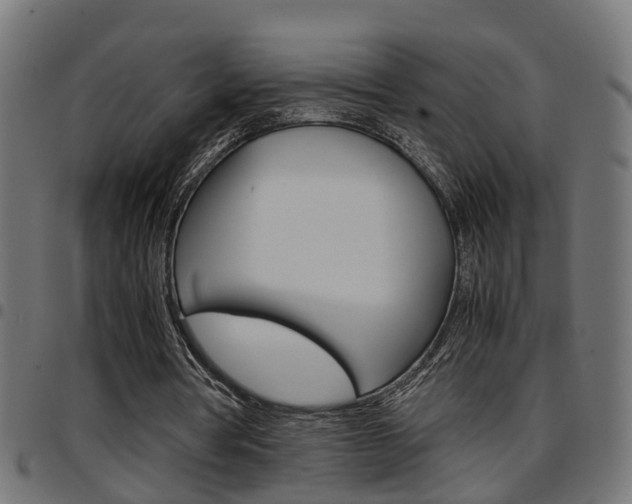 X0000097780386200803070918