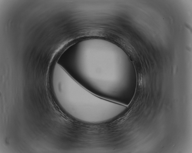 X0000097780388200803070918