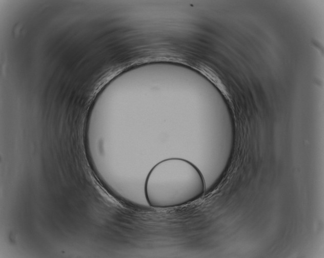 X0000097780389200803070918