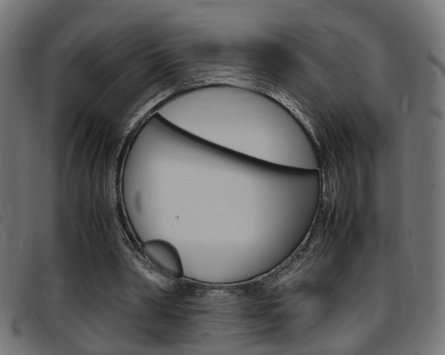 X0000097780390200803070918