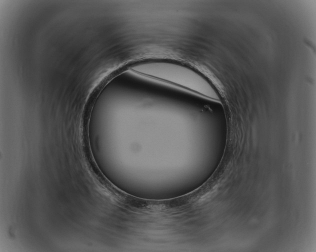 X0000097780391200803070918