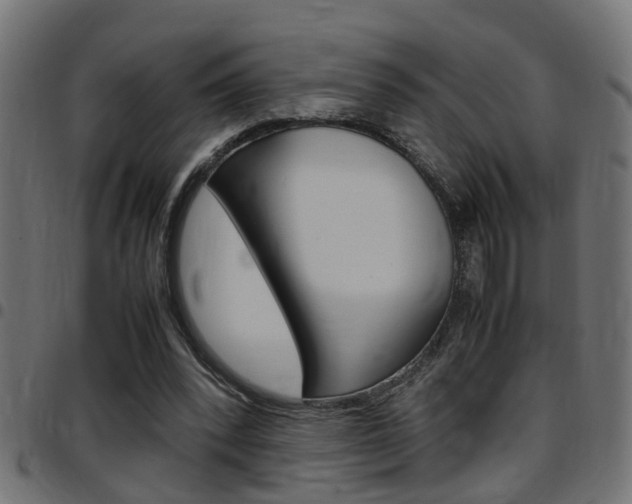 X0000097780392200803070918