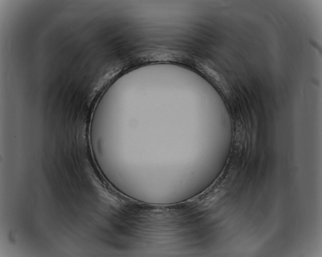 X0000097780394200803070918