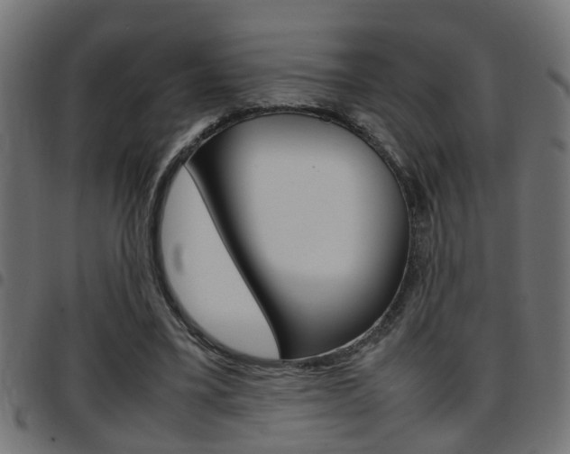 X0000097780395200803070918
