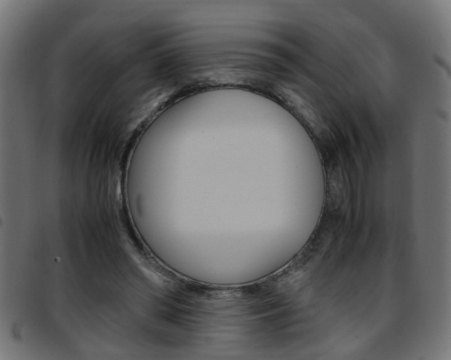 X0000097780398200803070917