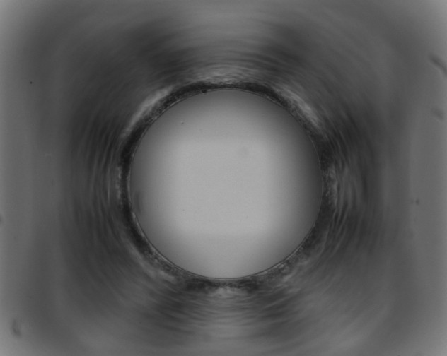 X0000097780400200803070917