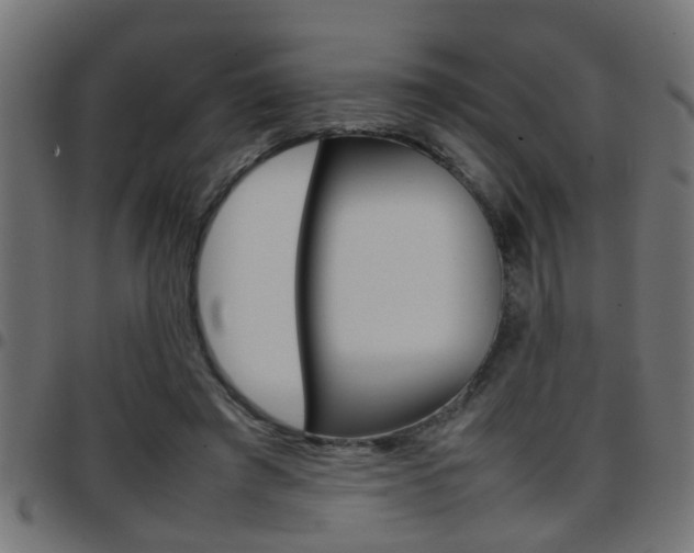 X0000097780401200803070917