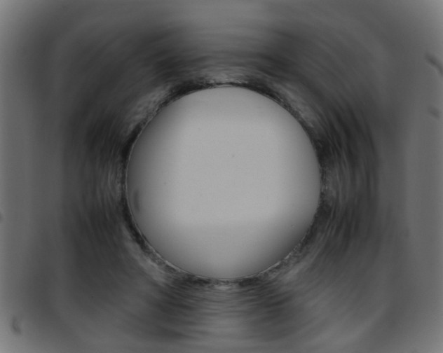 X0000097780402200803070917