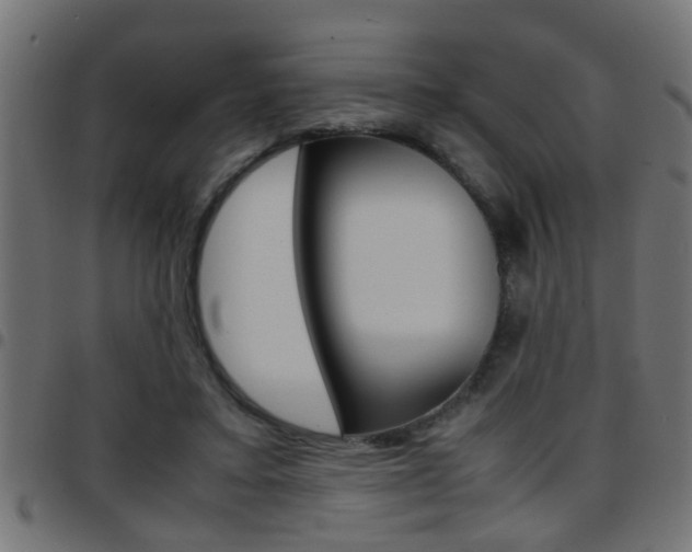 X0000097780403200803070917