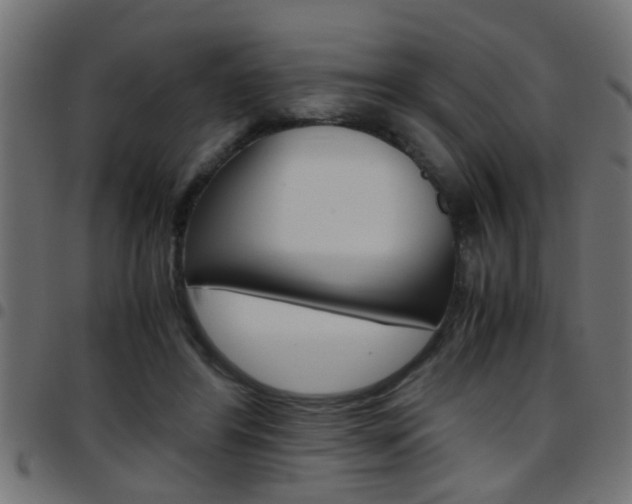 X0000097780404200803070917