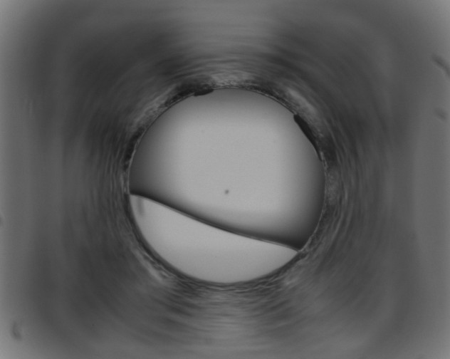 X0000097780405200803070917