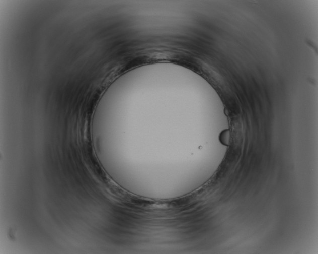 X0000097780406200803070917
