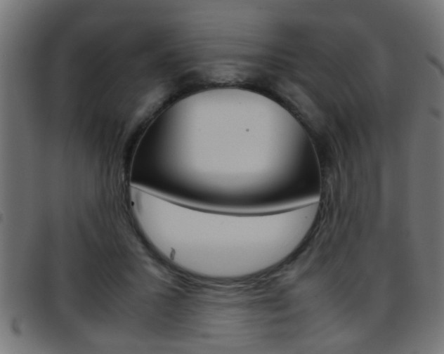 X0000097780407200803070917