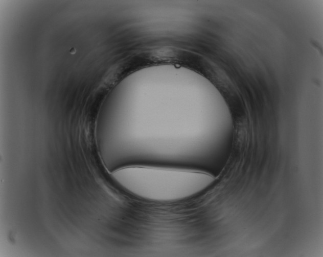 X0000097780408200803070917