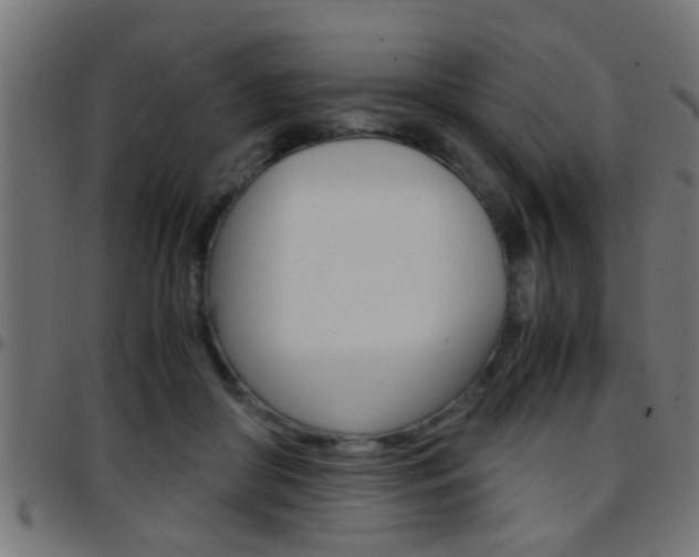 X0000097780410200803070917