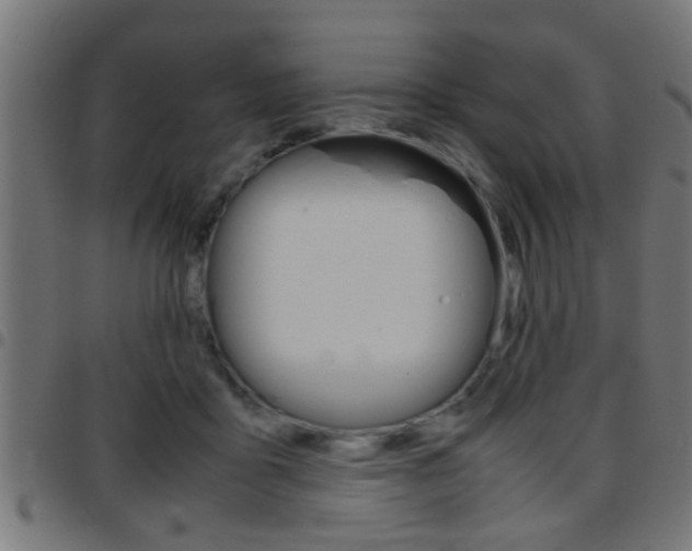 X0000097780411200803070917