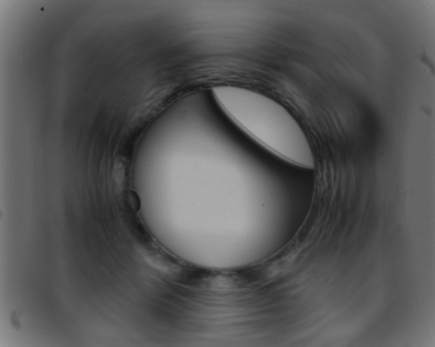 X0000097780412200803070917