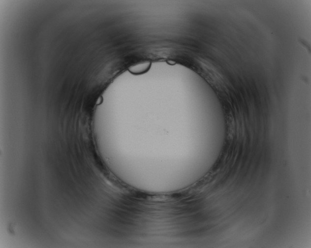 X0000097780414200803070917