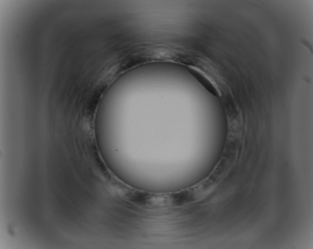 X0000097780415200803070917