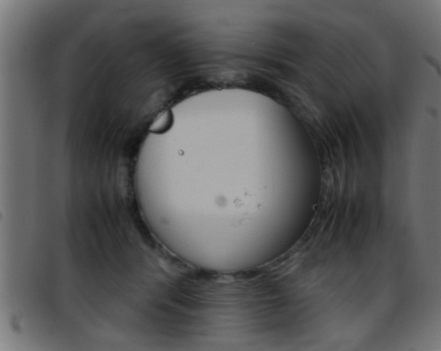 X0000097780416200803070917