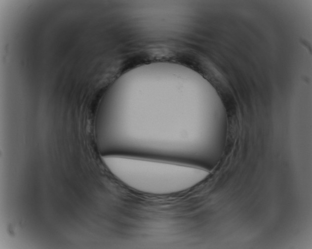 X0000097780417200803070917