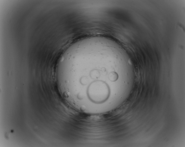 X0000097780418200803070917