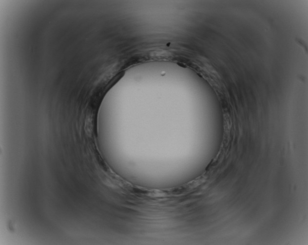 X0000097780419200803070917